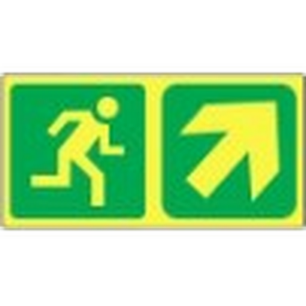 E 11